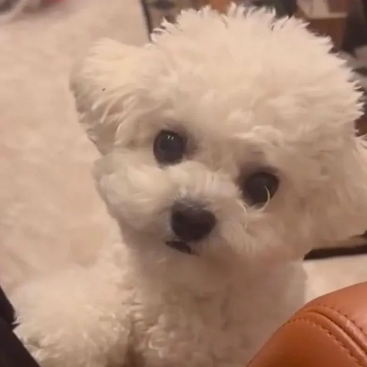 Latest photo of Cha Eunwoo