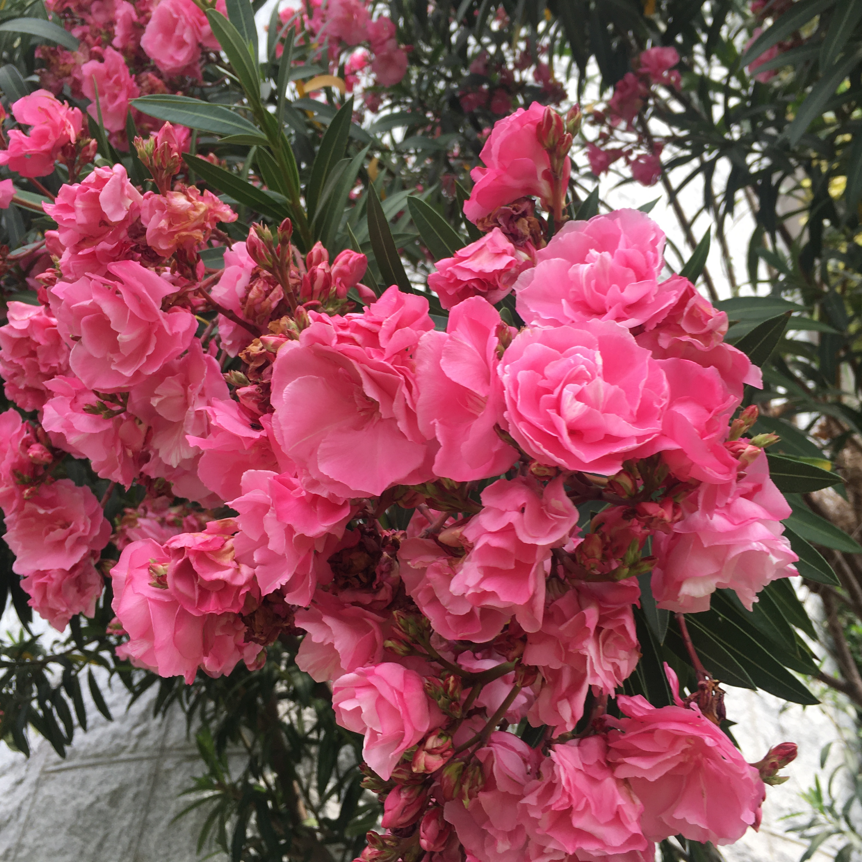 金高銀的幕後花絮