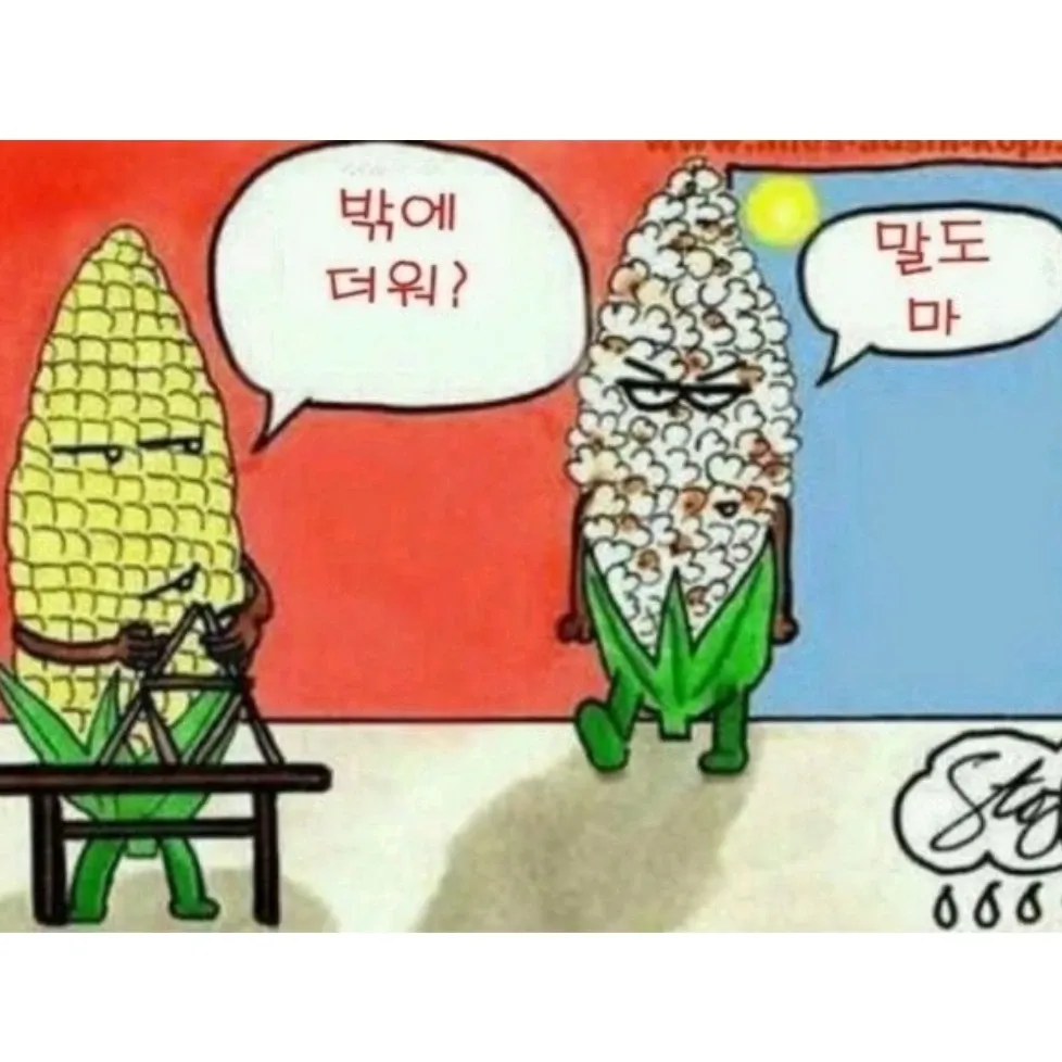 粉丝拍下的张民好瞬间