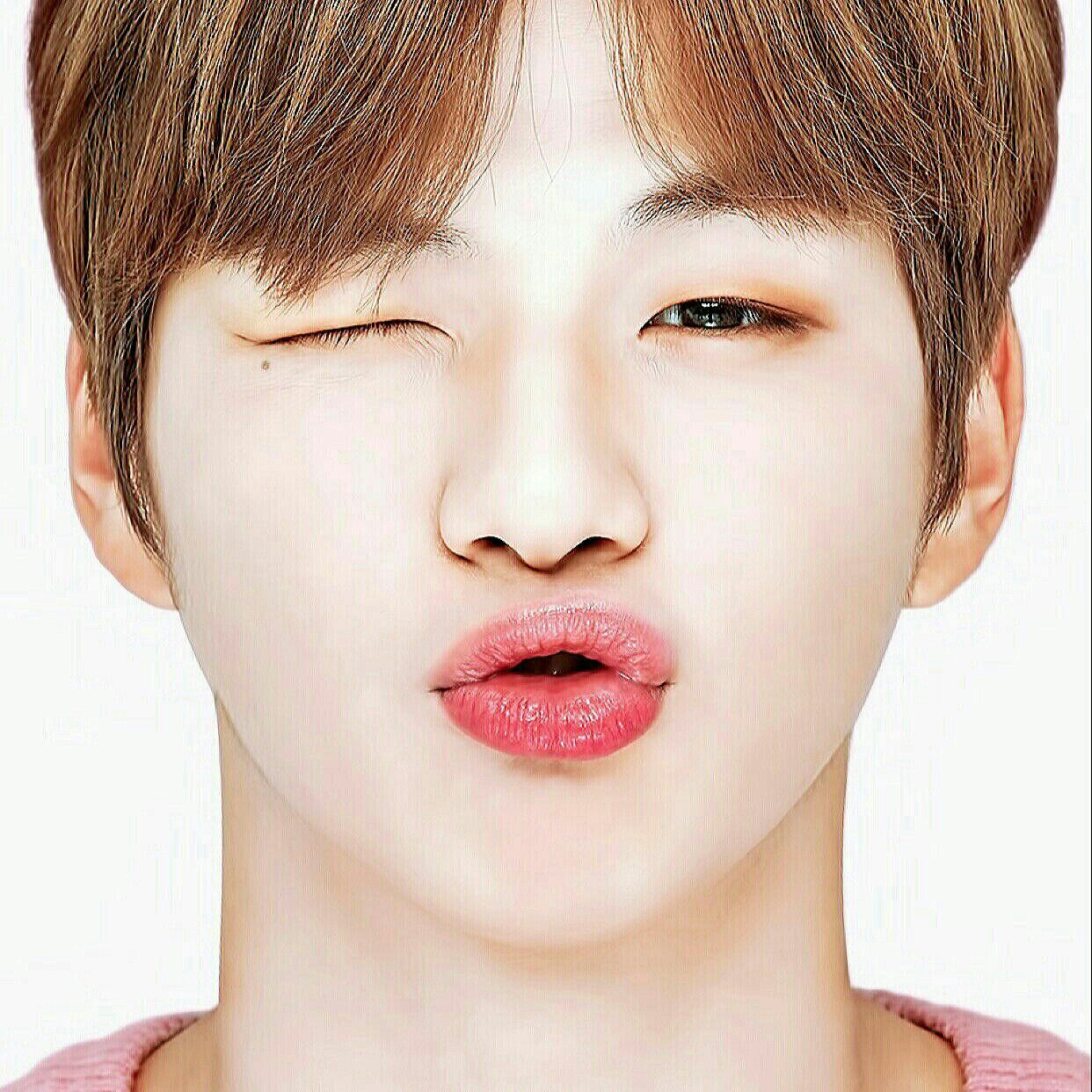 Recent activity shot of Secret Garden