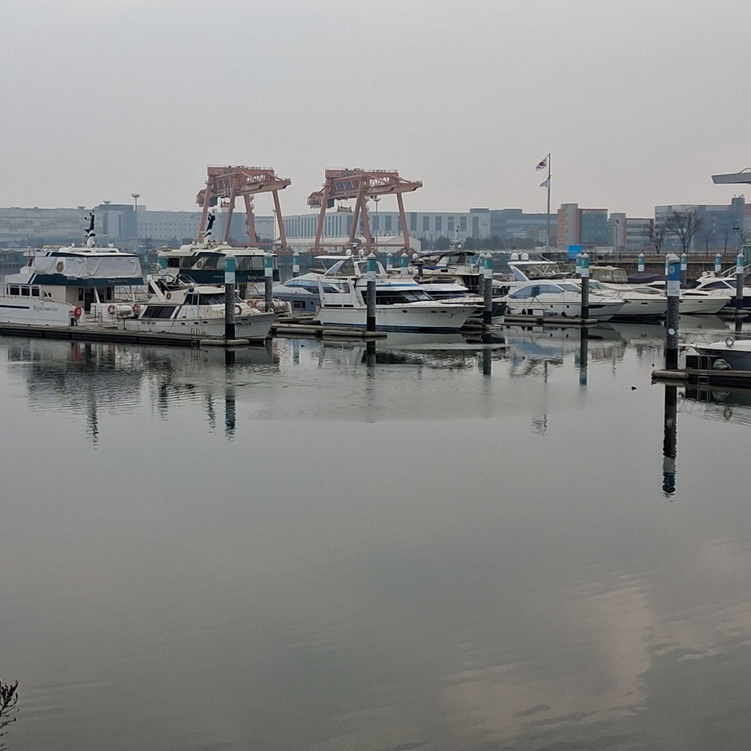 金浩中的最新照片