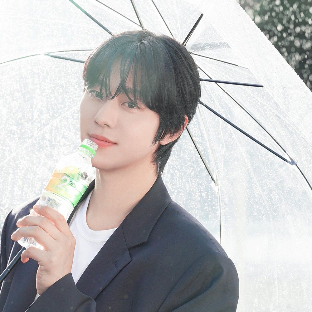 安孝燮的最新照片