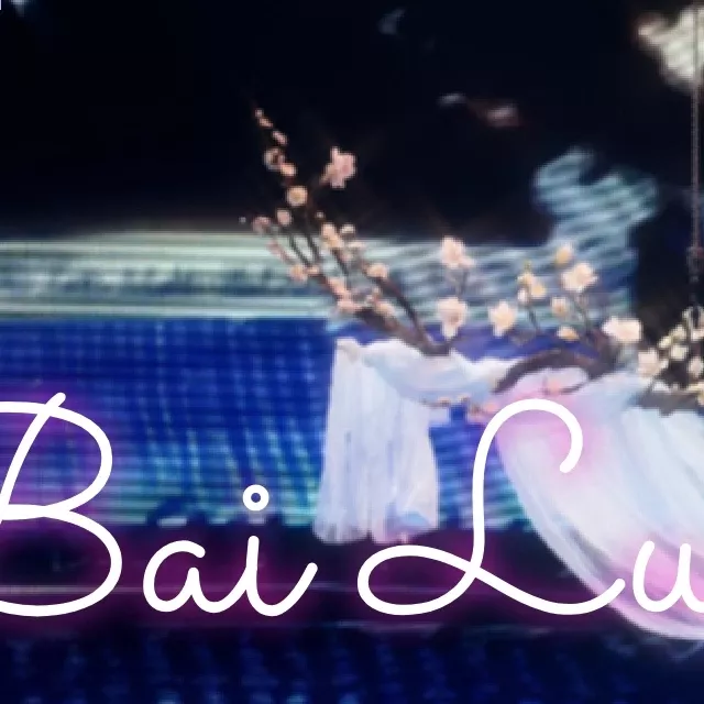 A moment captured by a fan of Bai Lu