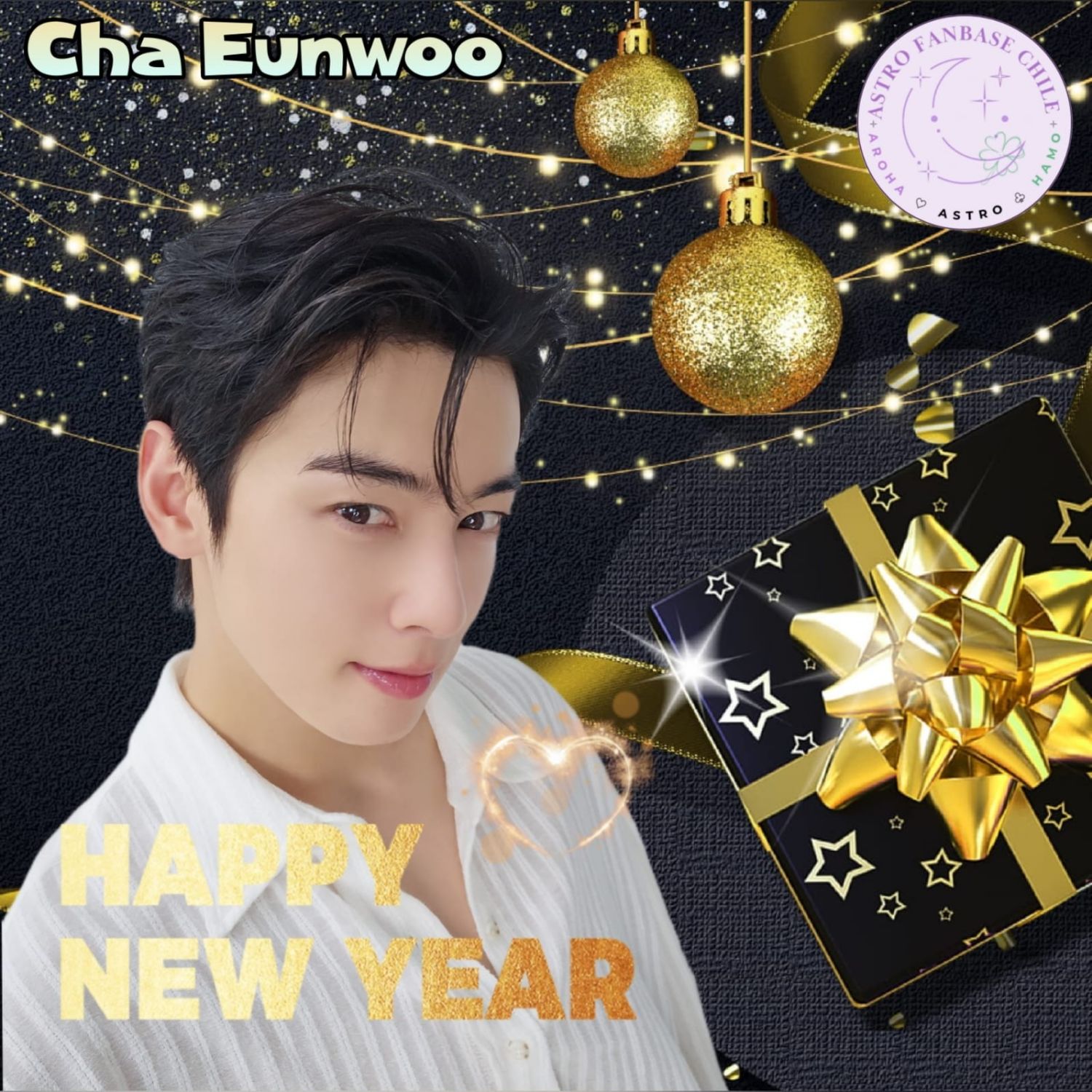 Recent activity shot of Cha Eunwoo