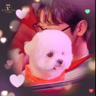 车银优的近期活动照