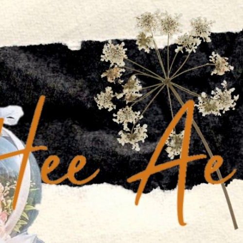 A moment captured by a fan of Kim Heeae