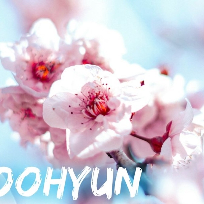 粉絲拍下的金秀賢瞬間