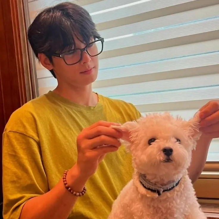 Latest photo of Cha Eunwoo