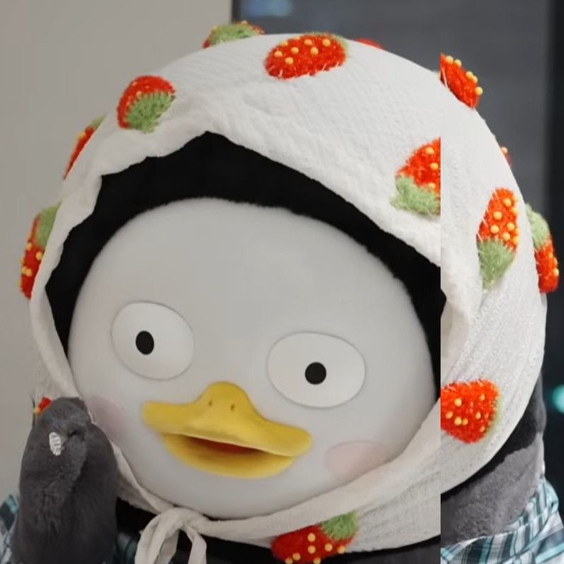 朋秀的近期活動照