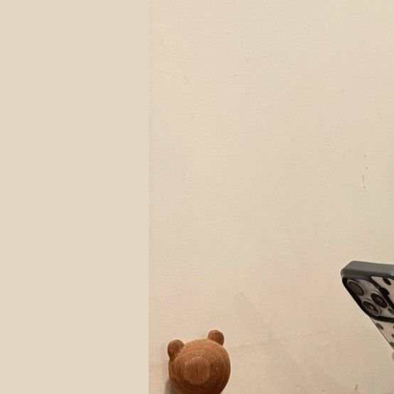 Recent activity shot of Bona