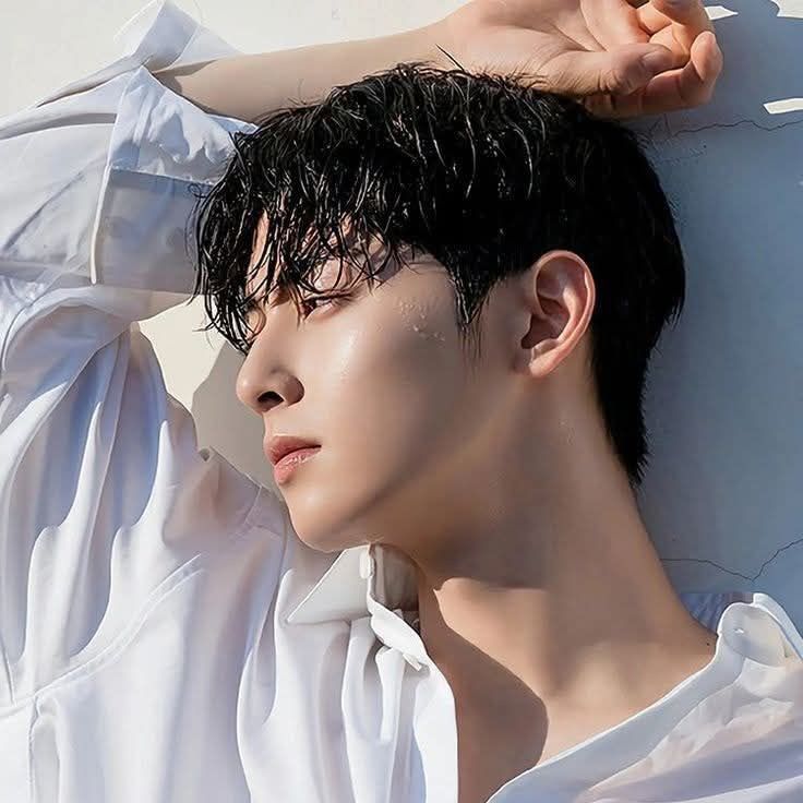 ファンが撮影したチャ・ウヌの瞬間