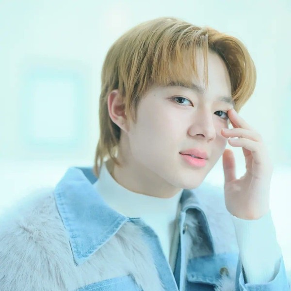 展現NuNew魅力的代表照片