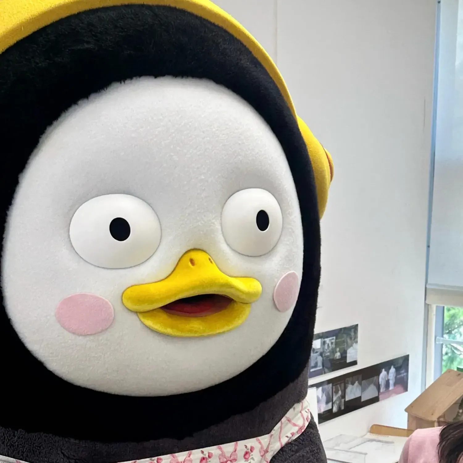펭수 최근 활동샷