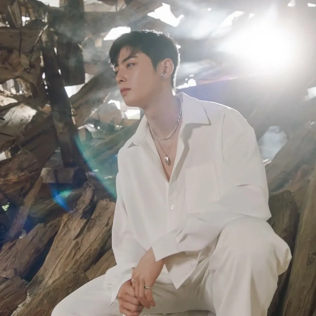 A moment captured by a fan of Cha Eunwoo