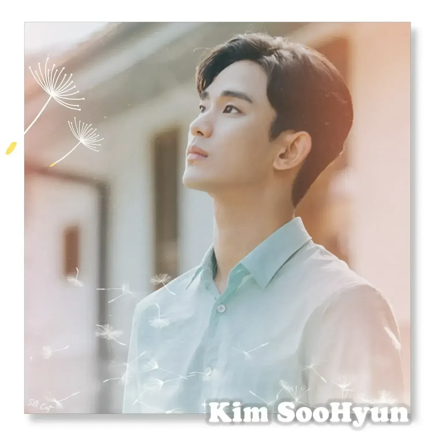 Recent activity shot of Kim Soohyun
