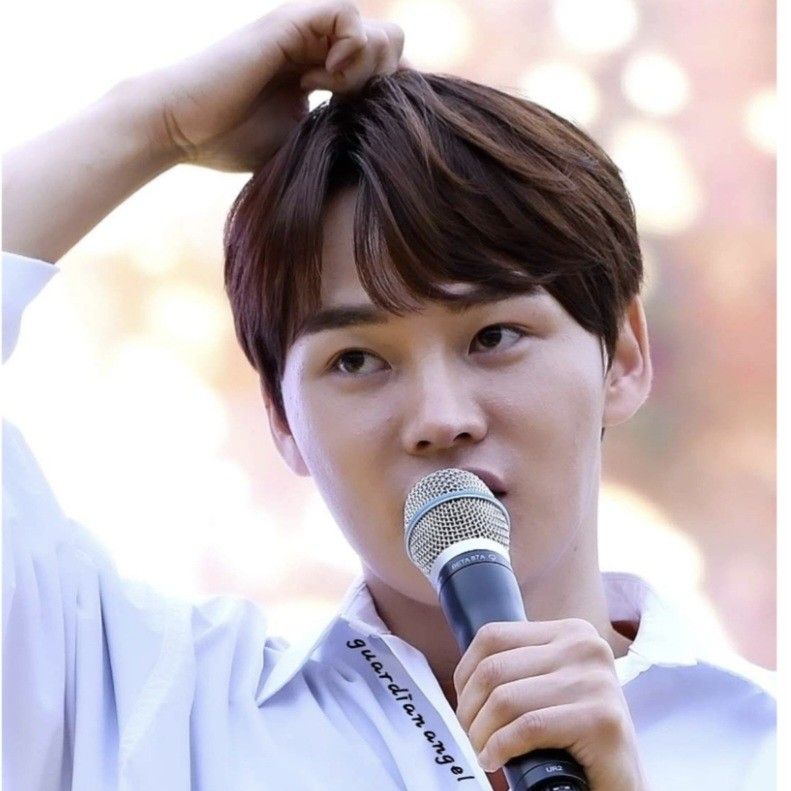 박서진의 최신 사진