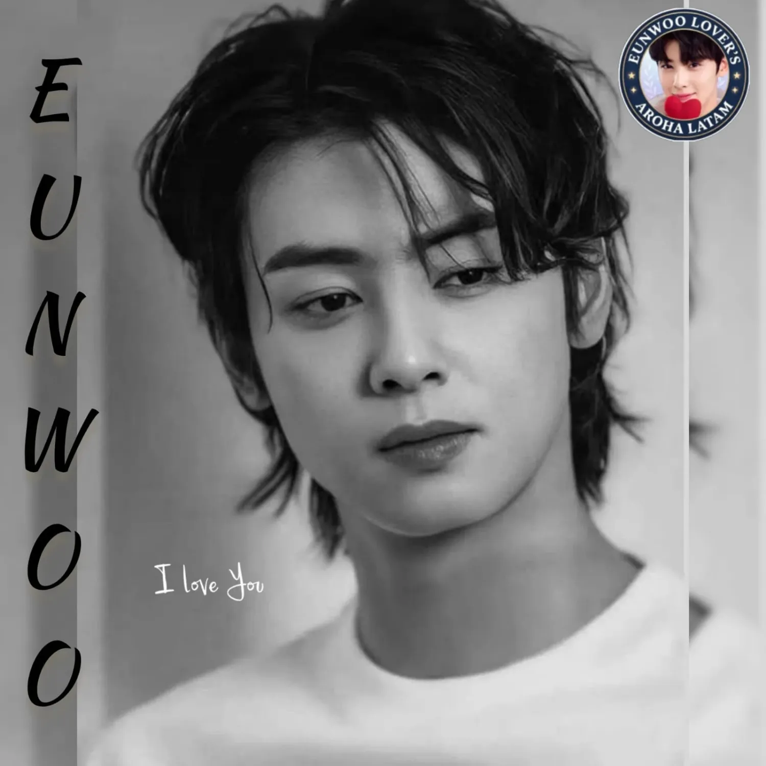 A moment captured by a fan of Cha Eunwoo