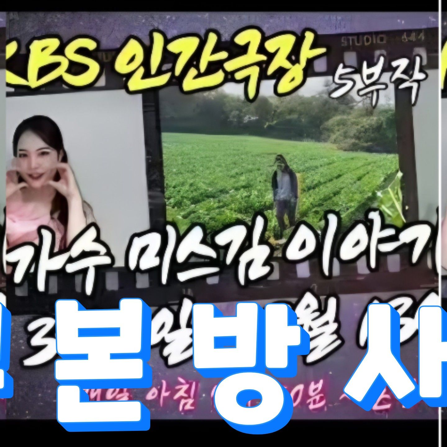 Recent activity shot of Miss Kim