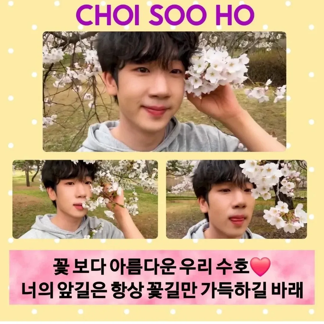 Latest photo of Choi Sooho