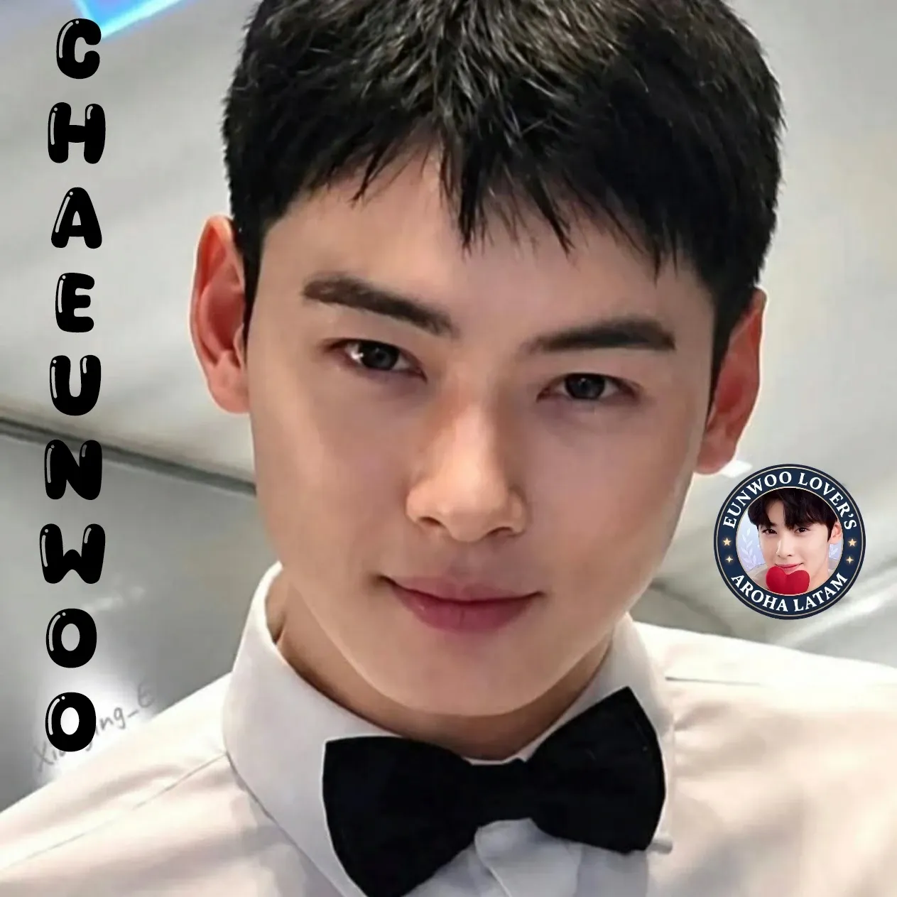 A moment captured by a fan of Cha Eunwoo