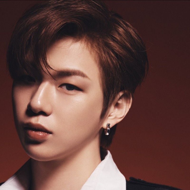 Recent activity shot of Secret Garden