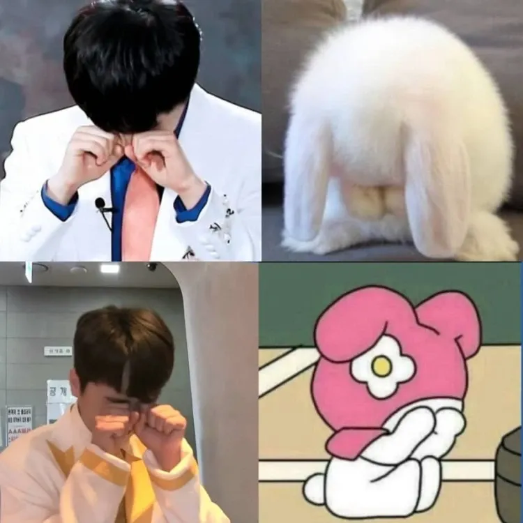 이찬원 팬이 찍은 순간