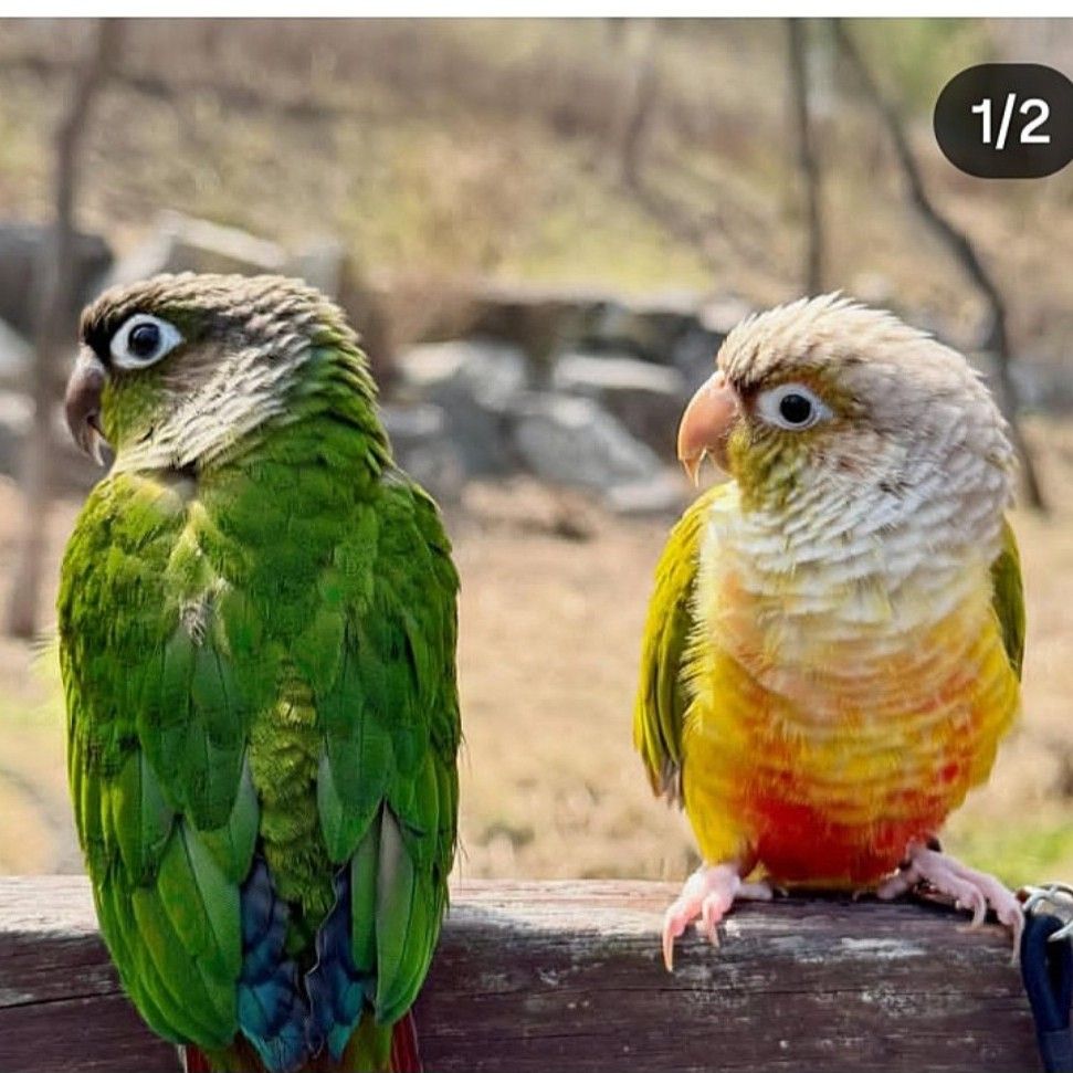 A moment captured by a fan of Bak Changgeun