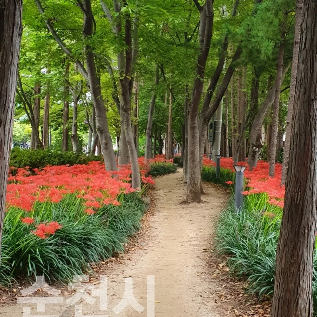Recent activity shot of Choi Jaemyeong