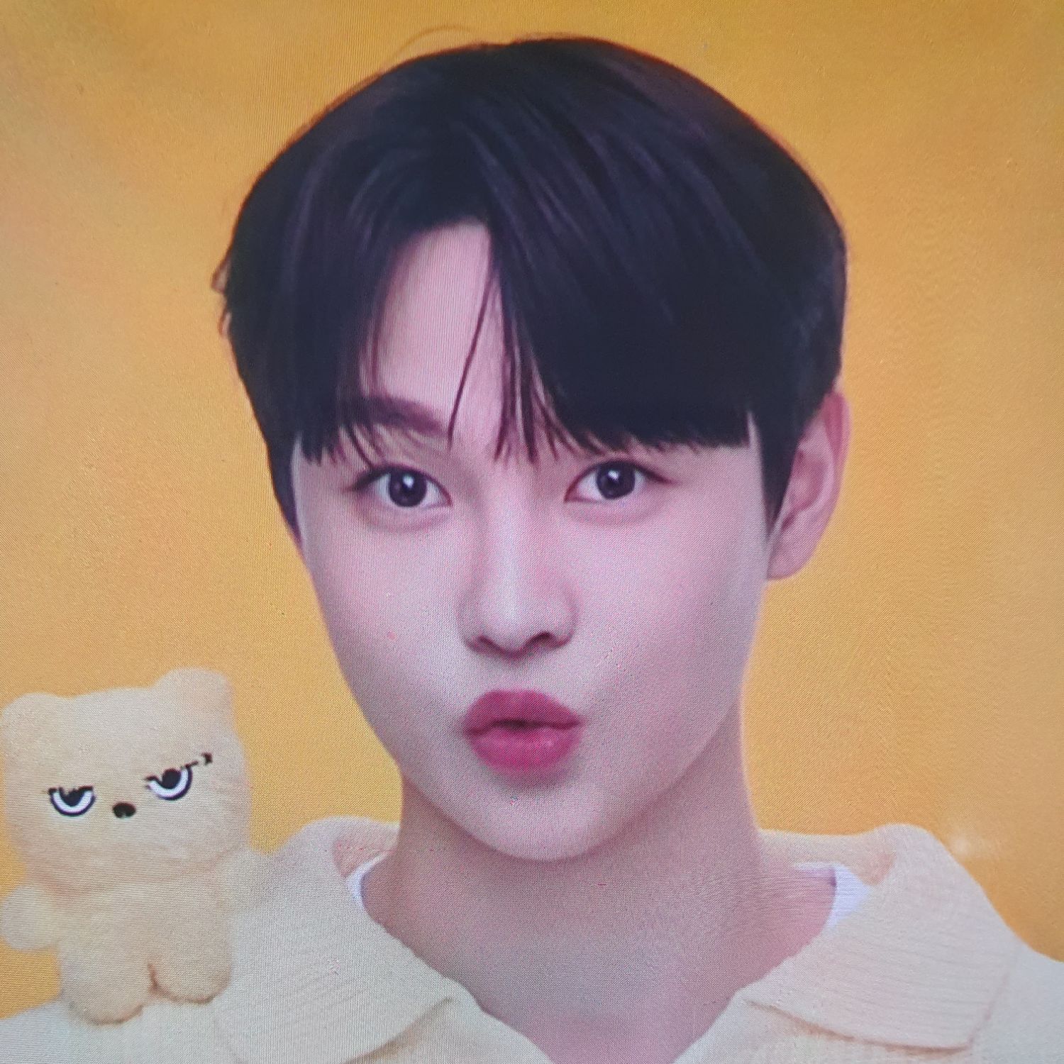 朴瑞鎮的近期活動照