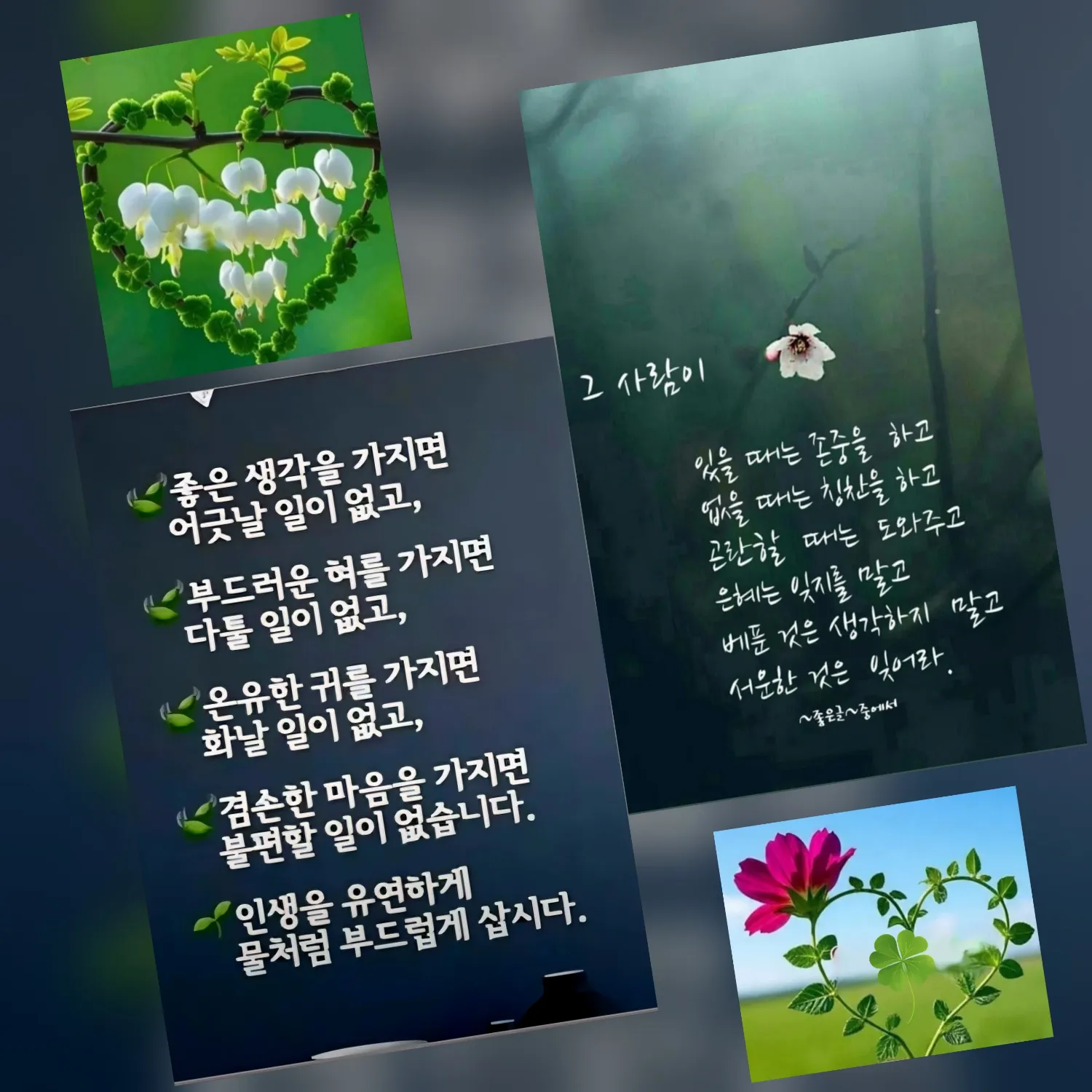 박서진 팬이 찍은 순간