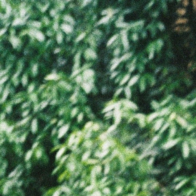 Recent activity shot of Zhou Yiran