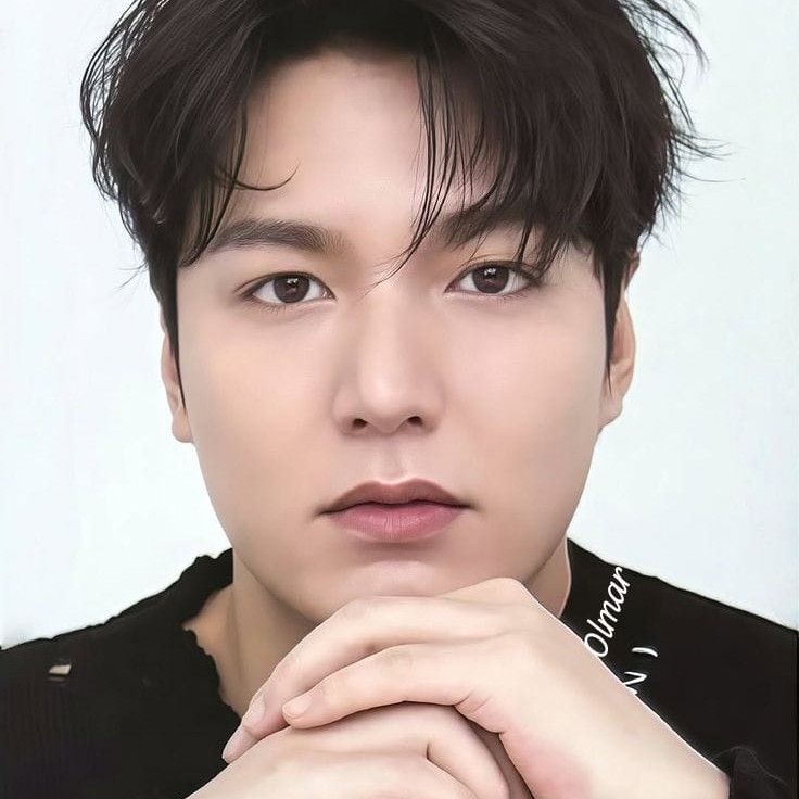 李敏镐的幕后花絮