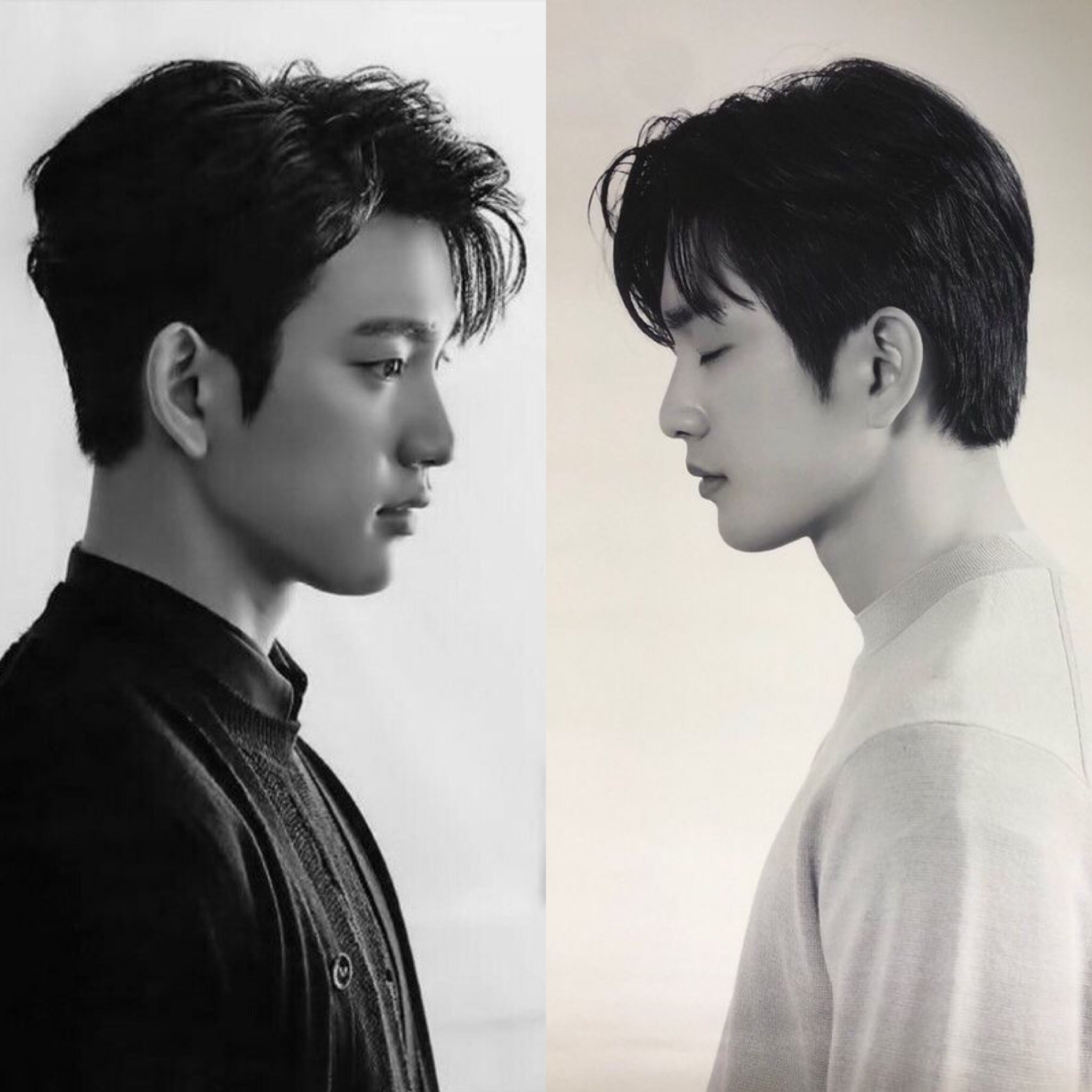 朴珍荣的近期活动照