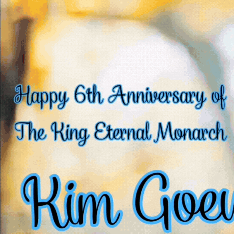 金高银的近期活动照