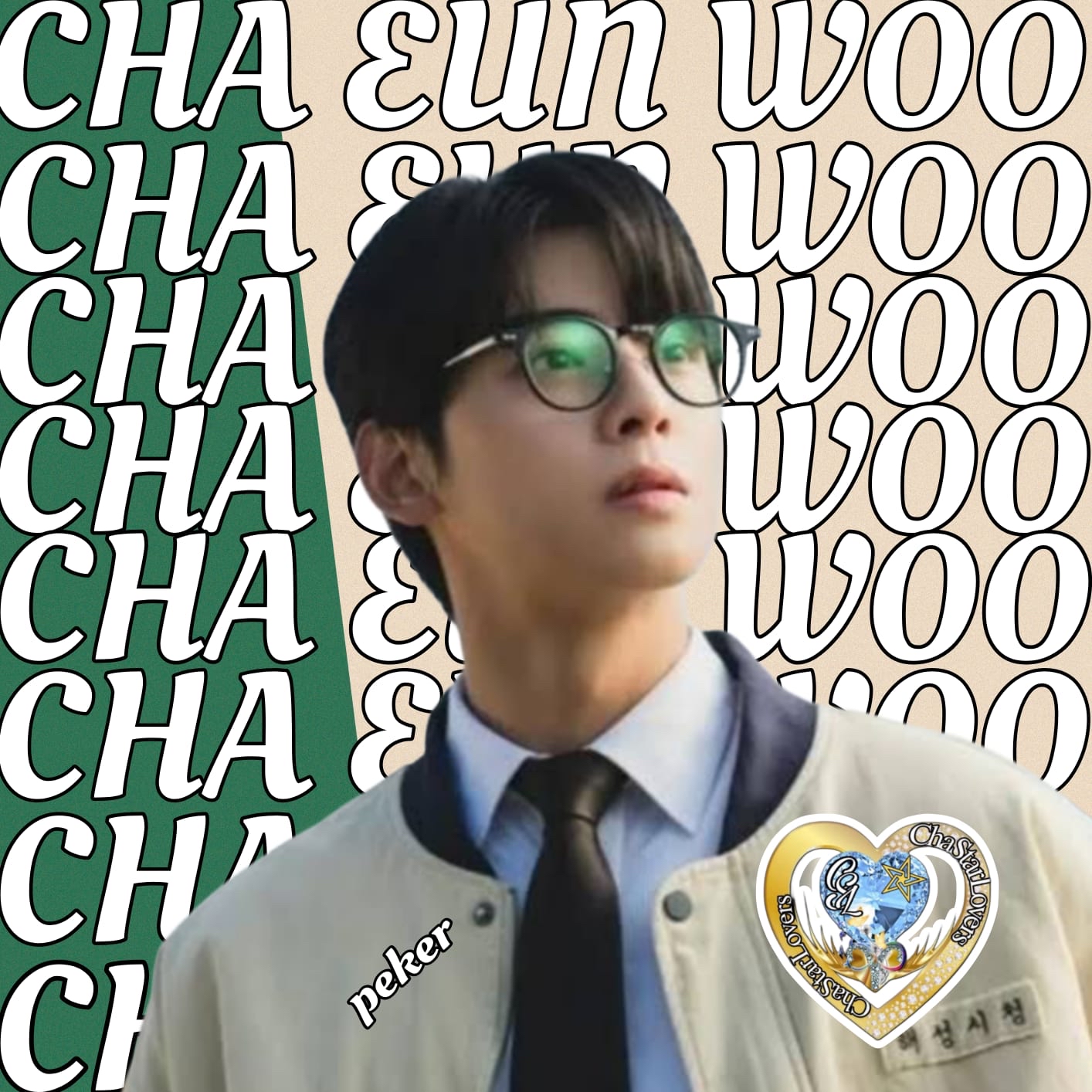 Recent activity shot of Cha Eunwoo