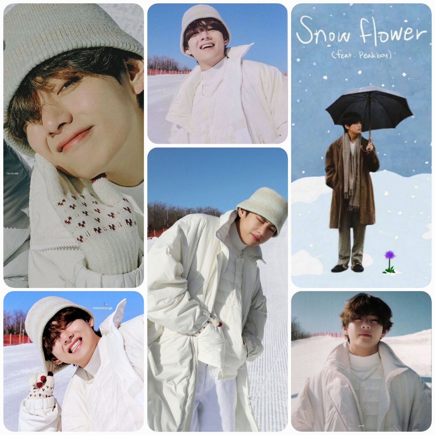 Recent activity shot of Kim Taehyung (V)