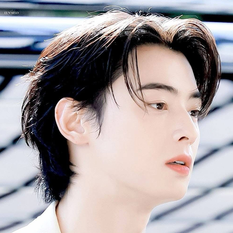 A moment captured by a fan of Cha Eunwoo