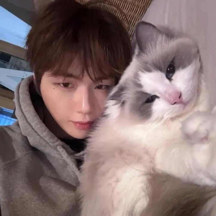 Latest photo of Secret Garden