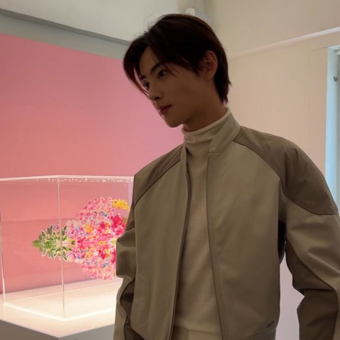 A moment captured by a fan of Cha Eunwoo