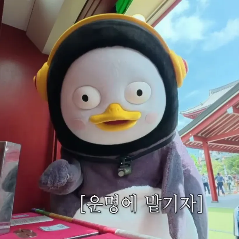 Foto terbaru dari Pengsoo