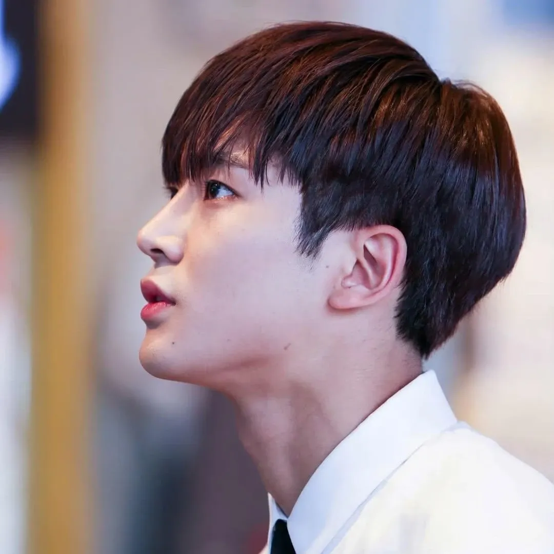 路雲的近期活動照