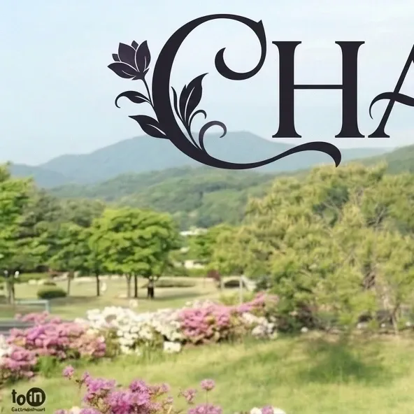 A moment captured by a fan of Chae Soobin