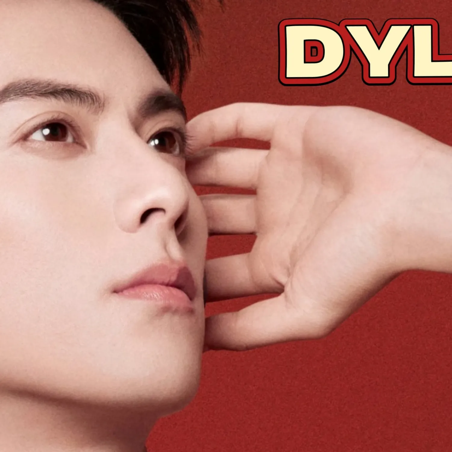 A moment captured by a fan of Dylan Wang