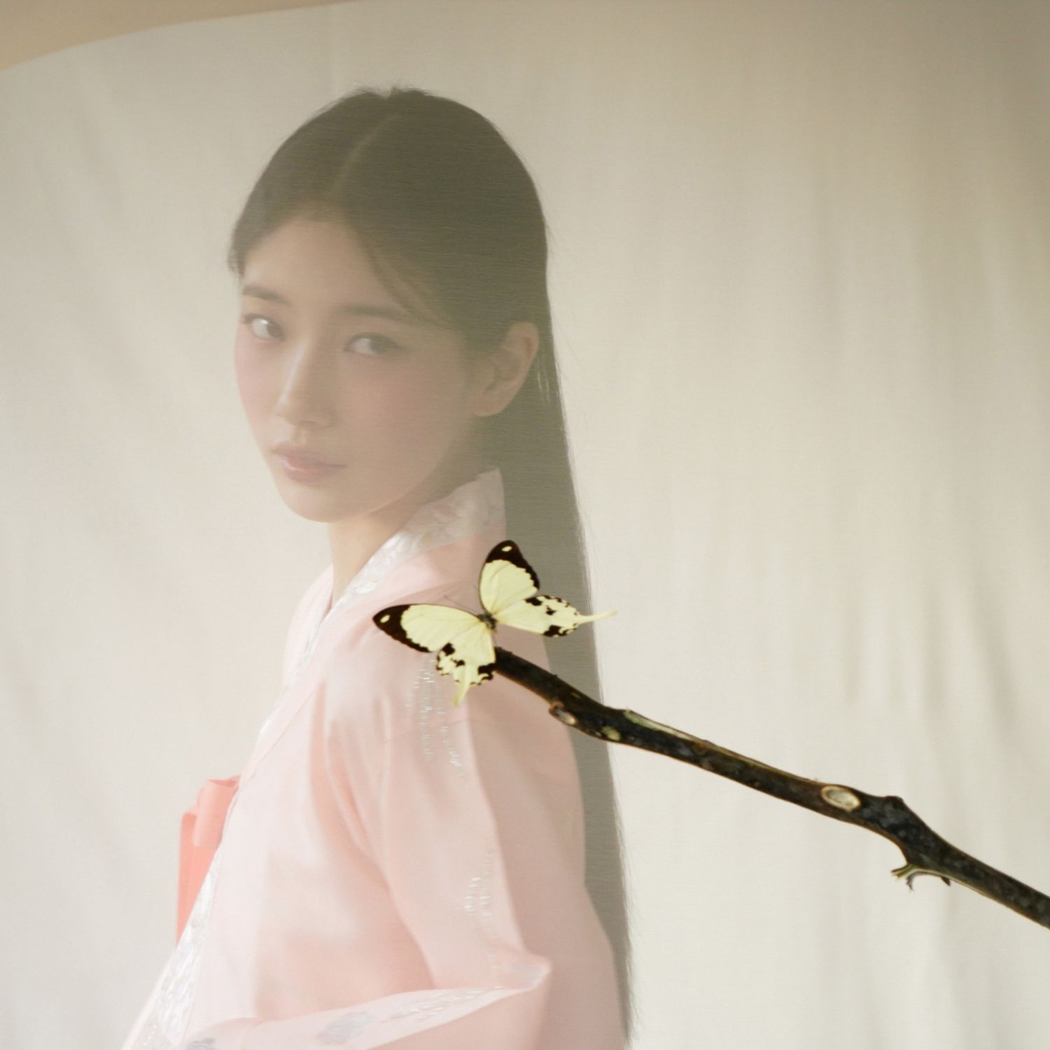 裴秀智的近期活動照