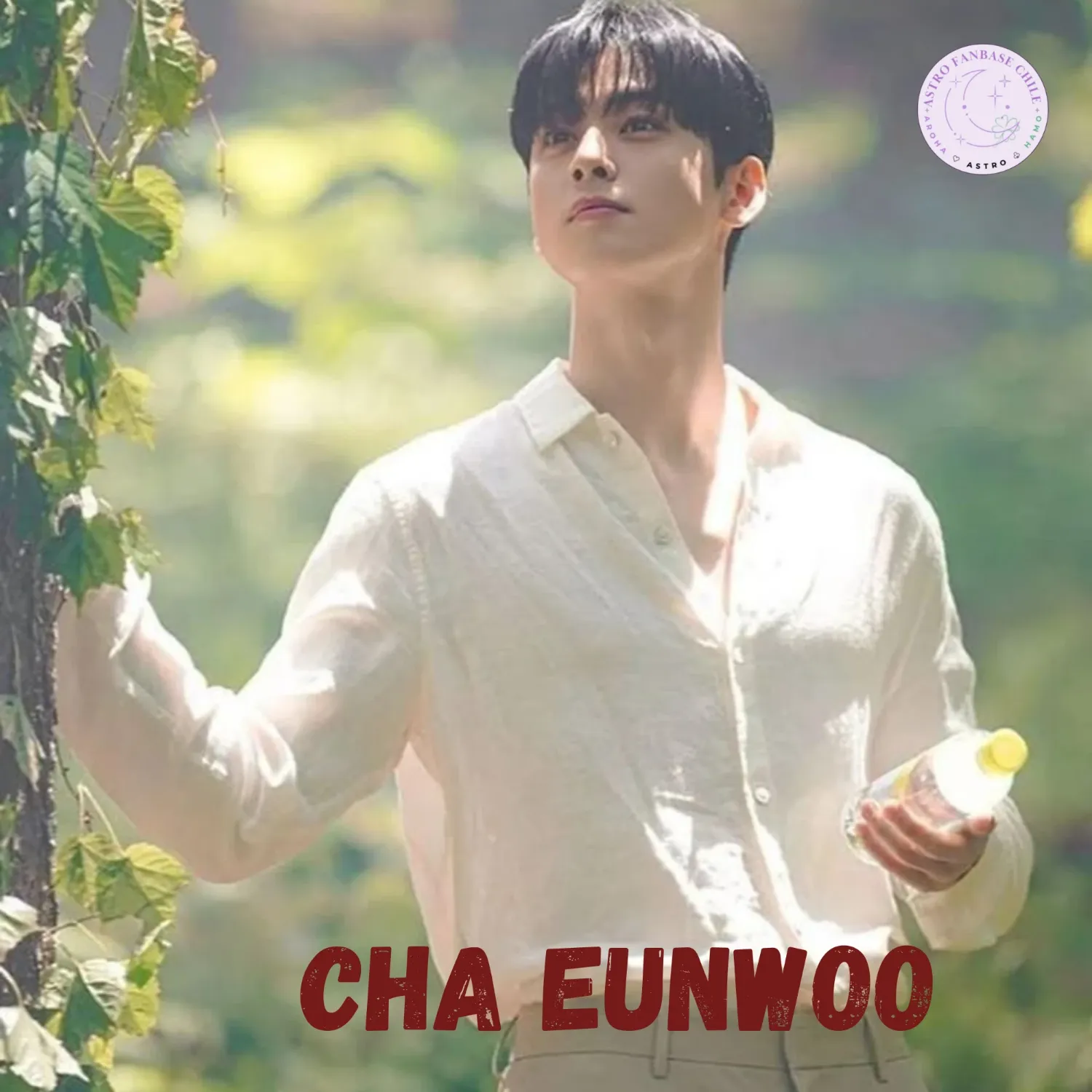 Latest photo of Cha Eunwoo