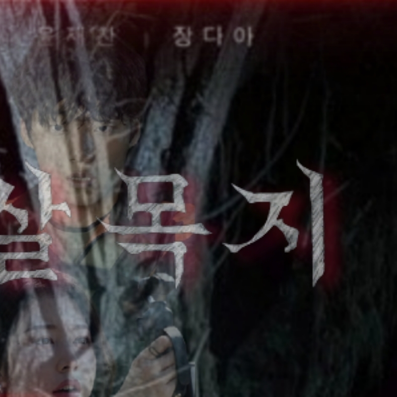 A moment captured by a fan of Kim Hyeyoon