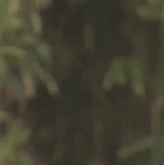 金钟国的近期活动照