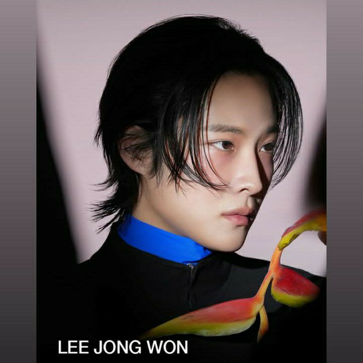 Recent activity shot of Lee Jongwon