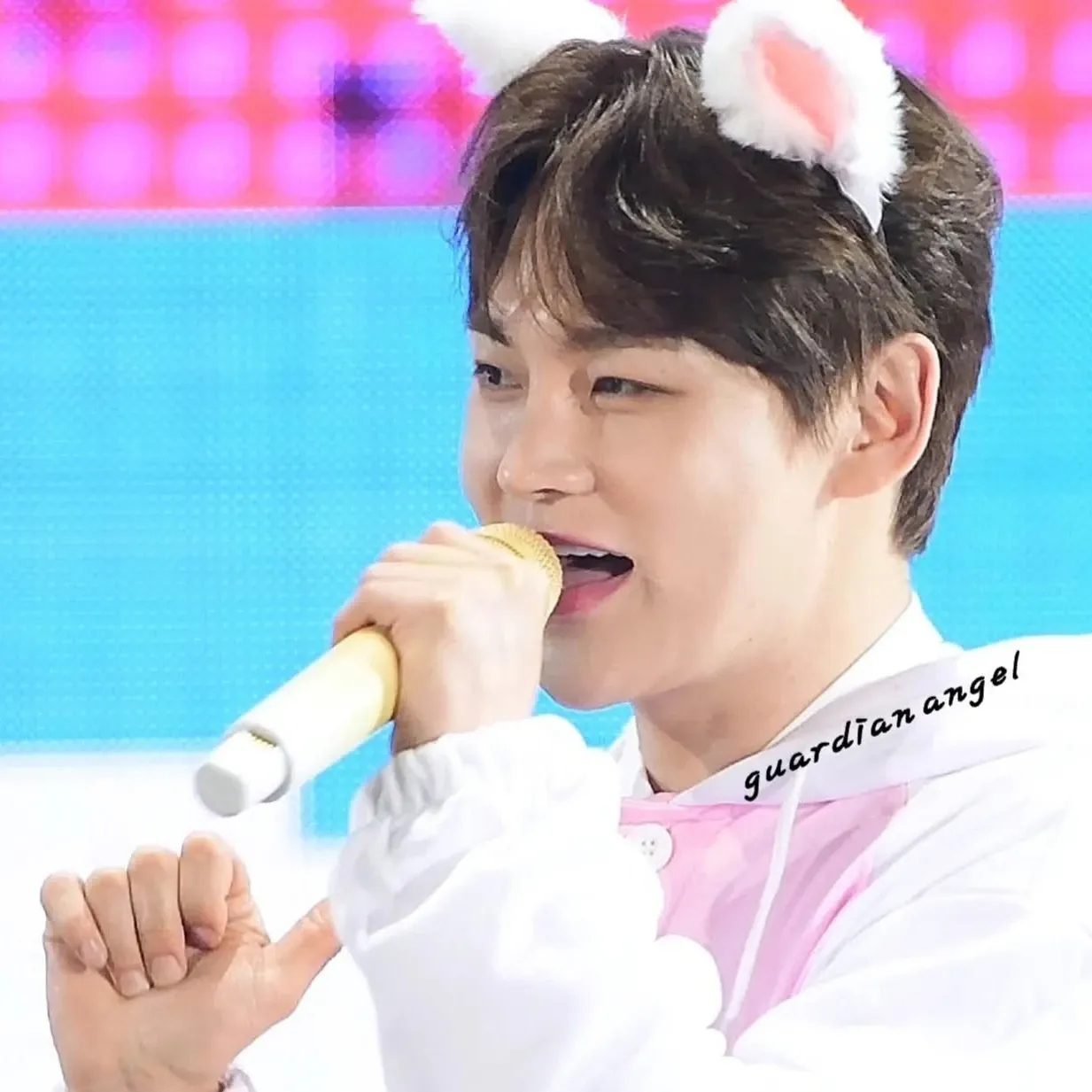 박서진의 최신 사진