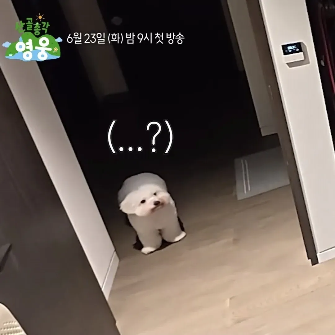 Cuplikan di balik layar dari Lim Youngwoong